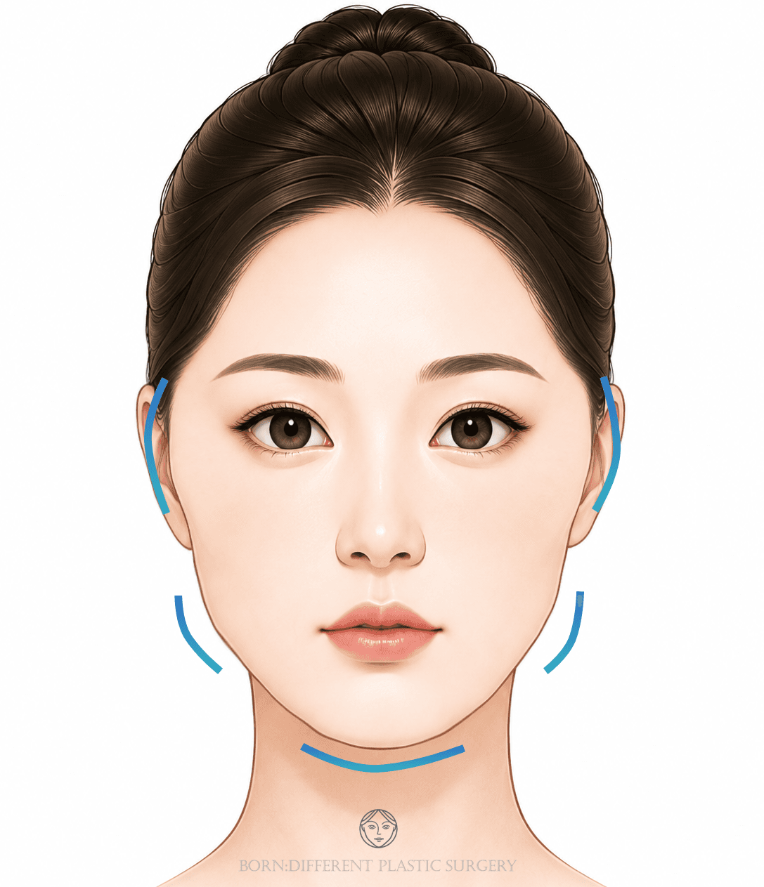 輪郭バランス3点のイメージイラスト